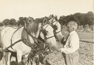 Zonder titel, ca. 1935 door Lewis Wickes Hine