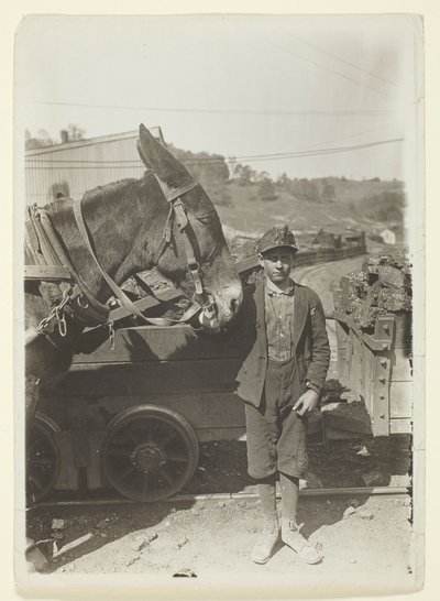 Jonge bestuurder in kolenmijn West Virginia door Lewis Wickes Hine