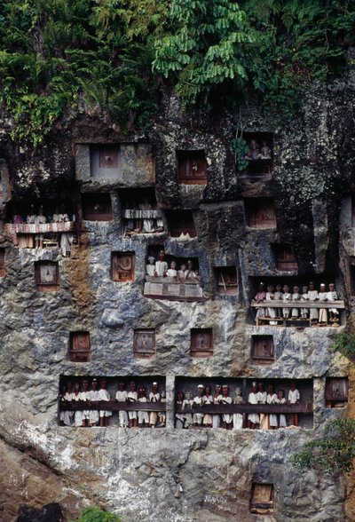 Begrafenisniches met Tau Tau mortuariumfiguren, Lemo dorp, Tana Toraja, Sulawesi eiland, Indonesië door Unbekannt Unbekannt