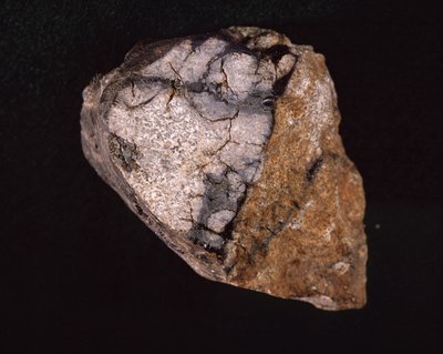 Meteoriet gevonden in India in 1875 - Museum voor Natuurgeschiedenis, Parijs door Unbekannt Unbekannt