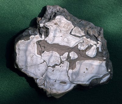 Meteoriet, periode onbekend - Museum voor Natuurgeschiedenis, Parijs door Unbekannt Unbekannt