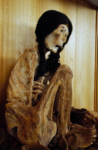 Mummie bekend als Miss Chile, uit San Pedro de Atacama, Chili door Unbekannt Unbekannt