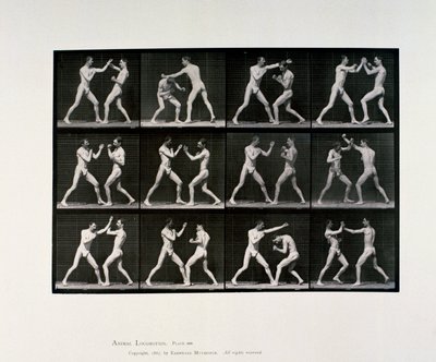 Naakte mannelijke atleten boksen, ca. 1872-1885 door Unbekannt Unbekannt