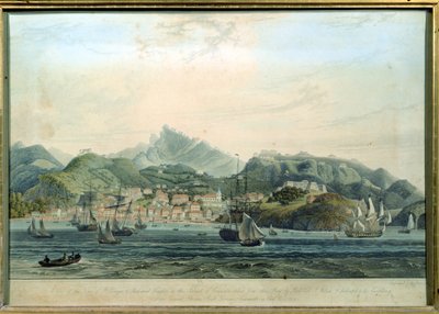 Een uitzicht op de stad St. George en Richmond Heights op het eiland Grenada, gegraveerd door William Daniell door Lieutenant Colonel J. Wilson