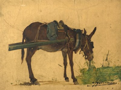 Studie van een muilezel door Lievan Herremans