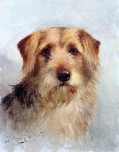 Een van de Familie door Lilian Cheviot
