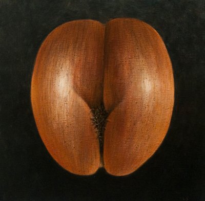 Coco de Mer, 2010 door Lincoln Seligman