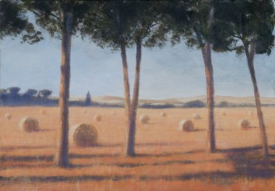 Hooibalen en pijnbomen, Pienza, 2012 door Lincoln Seligman