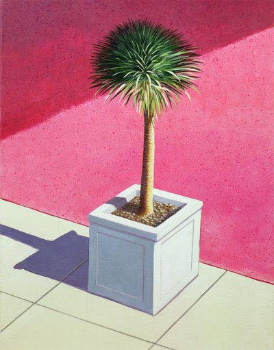 Kleine palm, 1995 door Lincoln Seligman