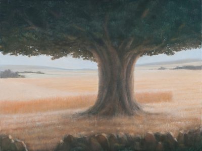 Boom, Holwell, 2012 door Lincoln Seligman