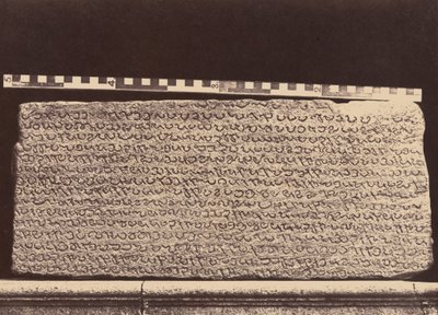 Elliot Knikkers,1859 (foto) door Linnaeus Tripe