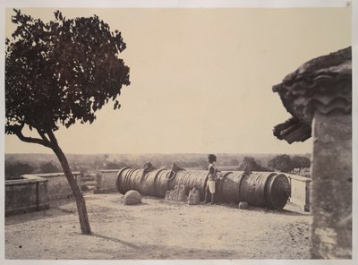 Het monsterkanon van Tanjore, uit 
