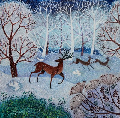 Coole hert door Lisa Graa Jensen