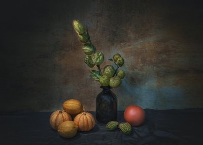  door Liu Xing