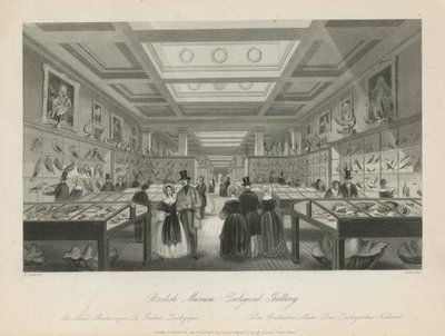 Zoologische Kamer in het British Museum door Llewellyn Jewitt