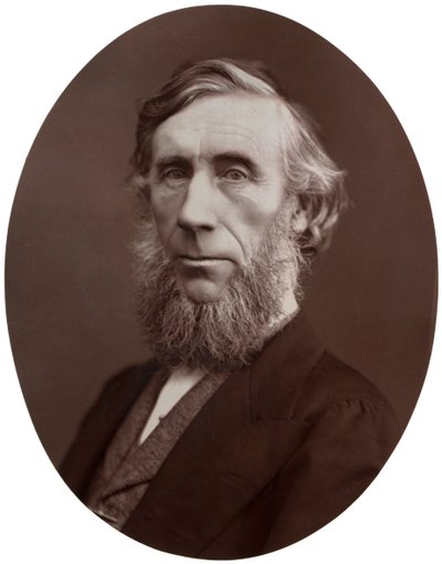 John Tyndall, DCL, LLD, FRS, Professor in de natuurfilosofie aan de Royal Institution, 1877 door Lock and Whitfield