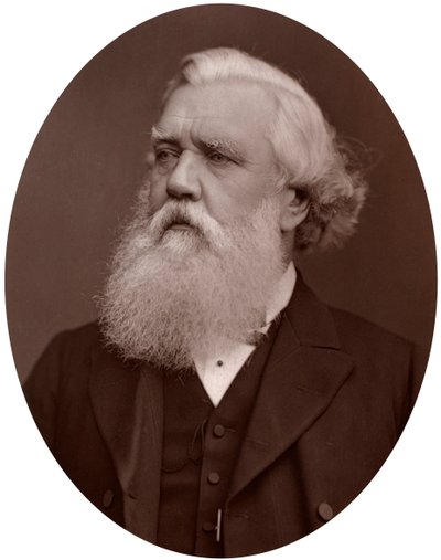 Right Hon Austen Henry Layard DCL, Britse ambassadeur in Constantinopel, 1877 door Lock and Whitfield