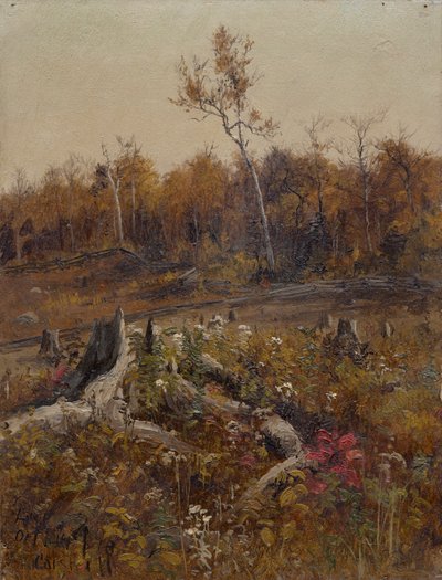 Landschap door Lockwood de Forest