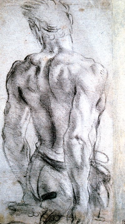 Studie van een figuur door Lodovico Carracci