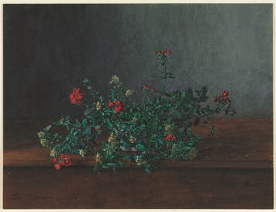 Stilleven met wilde bloemen door Léon Bonvin