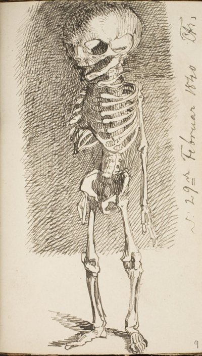 Schets van een staand skelet door Lorenz Frølich