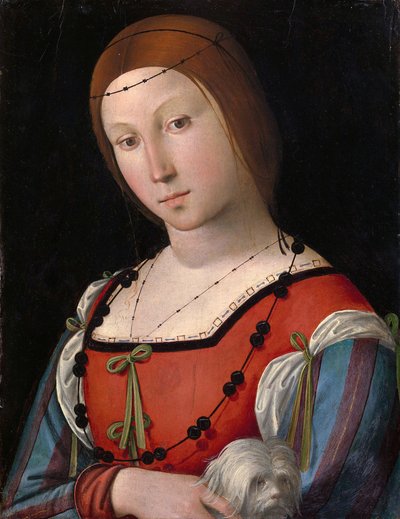 Portret van een dame met een schoothondje door Lorenzo Costa