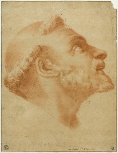 Opgeheven Hoofd van Sint Dominicus door Lorenzo Sabbatini