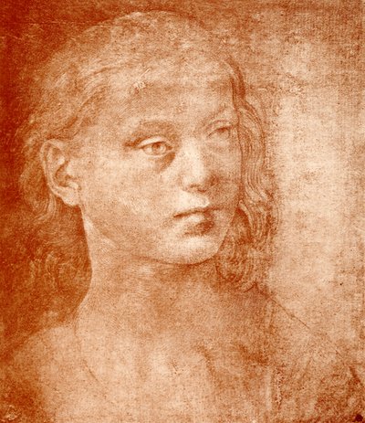 Meisjeshoofd door Lorenzo di Credi