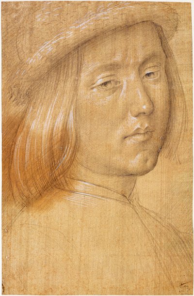 Hoofd van een jongeling door Lorenzo di Credi