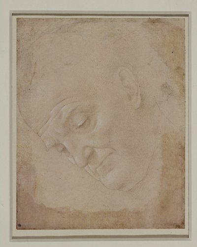 Portret van een kale man, driekwart naar links gedraaid ... door Lorenzo di Credi