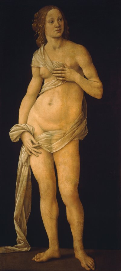 Venus door Lorenzo di Credi