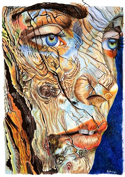Portret van gebarsten hout door Loretta Van Der Westhuizen