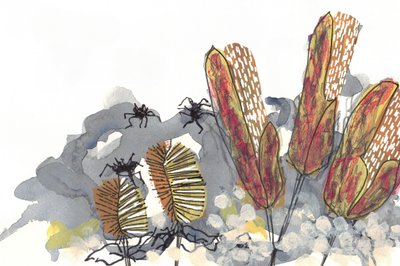Botanische Banksia-spinnen door Lori Ann Folz