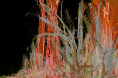  door Lori Ann Folz