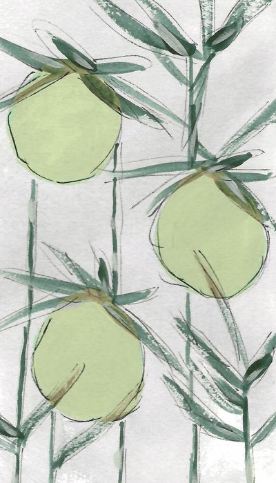  door Lori Ann Folz