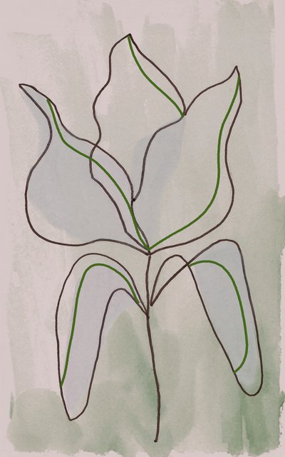 Minimalistische botanische schets door Lori Ann Folz