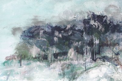 Mistig winterbos door Lori Ann Folz