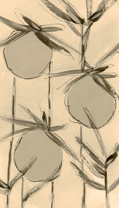 Sepia-katoenplanten door Lori Ann Folz