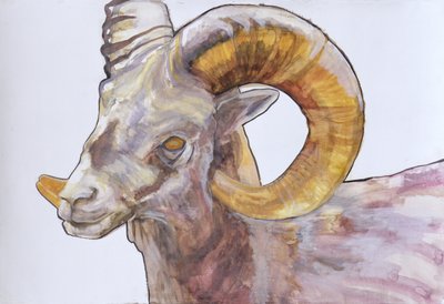 Amerikaanse Longhorn, 2004 door Lou Gibbs