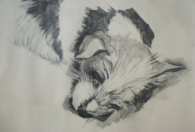 Jack Russel, 2015 door Lou Gibbs