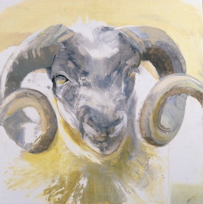 Langhoornschapen door Lou Gibbs