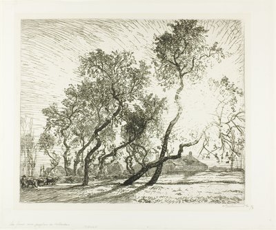 Boerderij met Nederlandse populieren door Louis Auguste Lepère