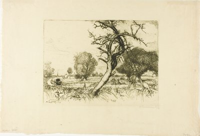 De dode appelboom door Louis Auguste Lepère