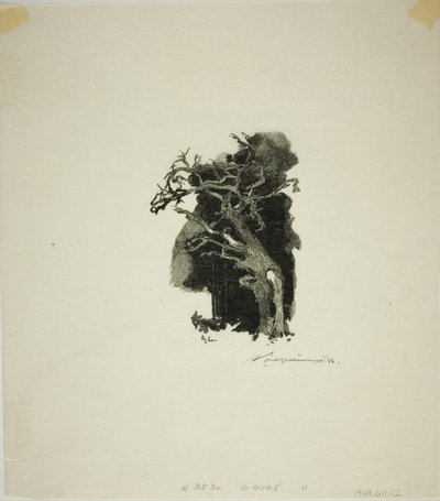 De spitfire door Louis Auguste Lepère