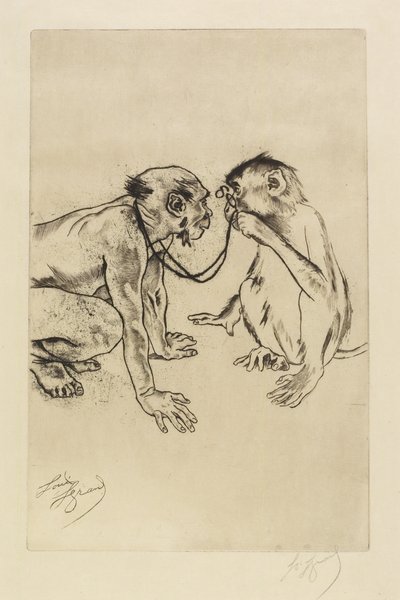 Vergelijkende anatomie door Louis Auguste Mathieu Legrand