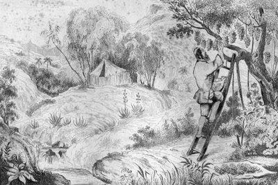 Ik had meer dan tweehonderd trossen... gravure naar de tekening van M. de Sainson voor het boek van Daniel Defoe 