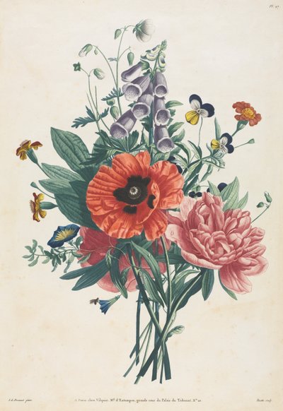 Collectie van bloemen en vruchten geschilderd naar de natuur: Boeket van vingerhoedskruid, clematis..., 1805 door Louis Charles Ruotte