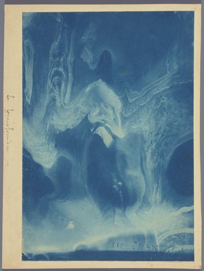 Le transformisme / Sic transit door Louis Ducos du Hauron (attributed to)