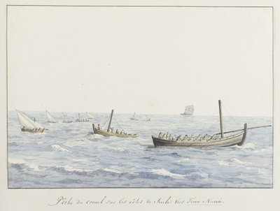 Koraalvissers voor de kust van Sicilië ter hoogte van Terra Nuova (Voyage en Italie, en Sicile et à Malte - 1778) door Louis Ducros