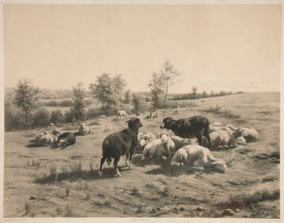De schapen door Louis Emmanuel Soulange Teissier